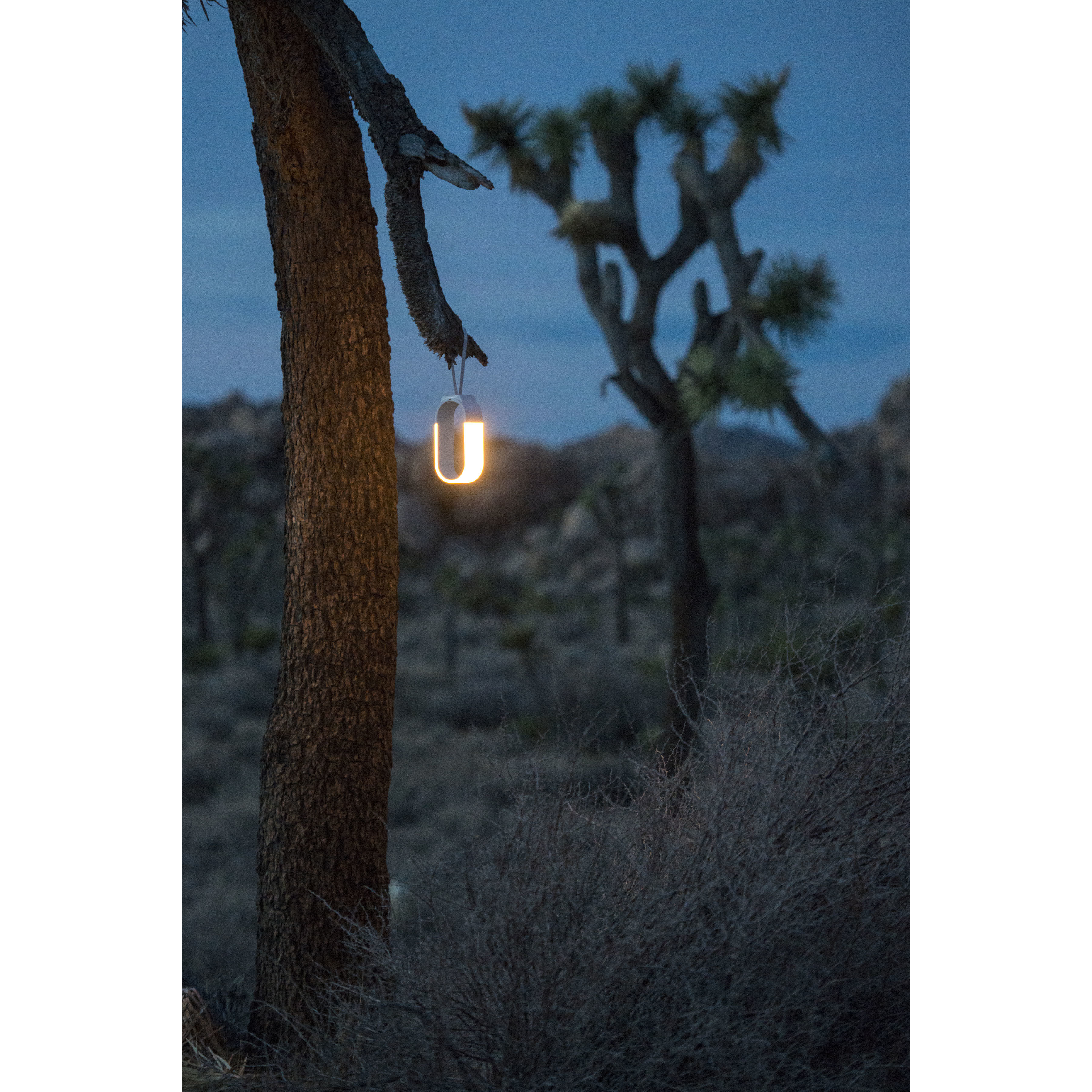 Mr. GO 10 inch 3.50 watt Soft grey Desk Lamp Portable Light